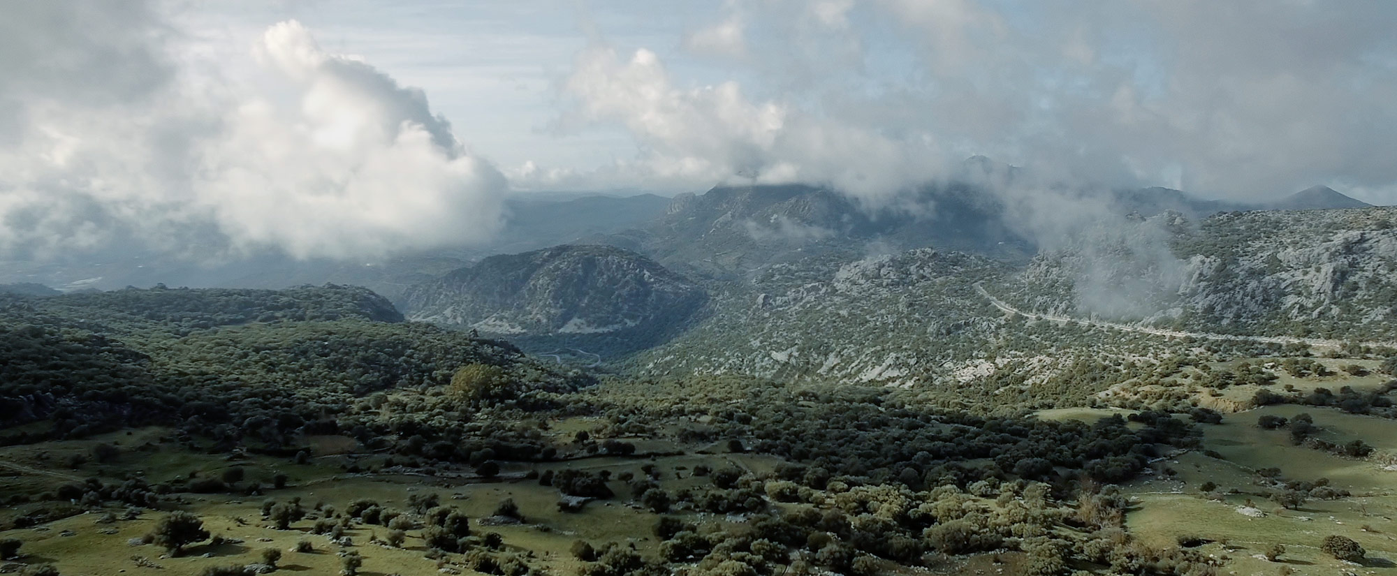 screengrab