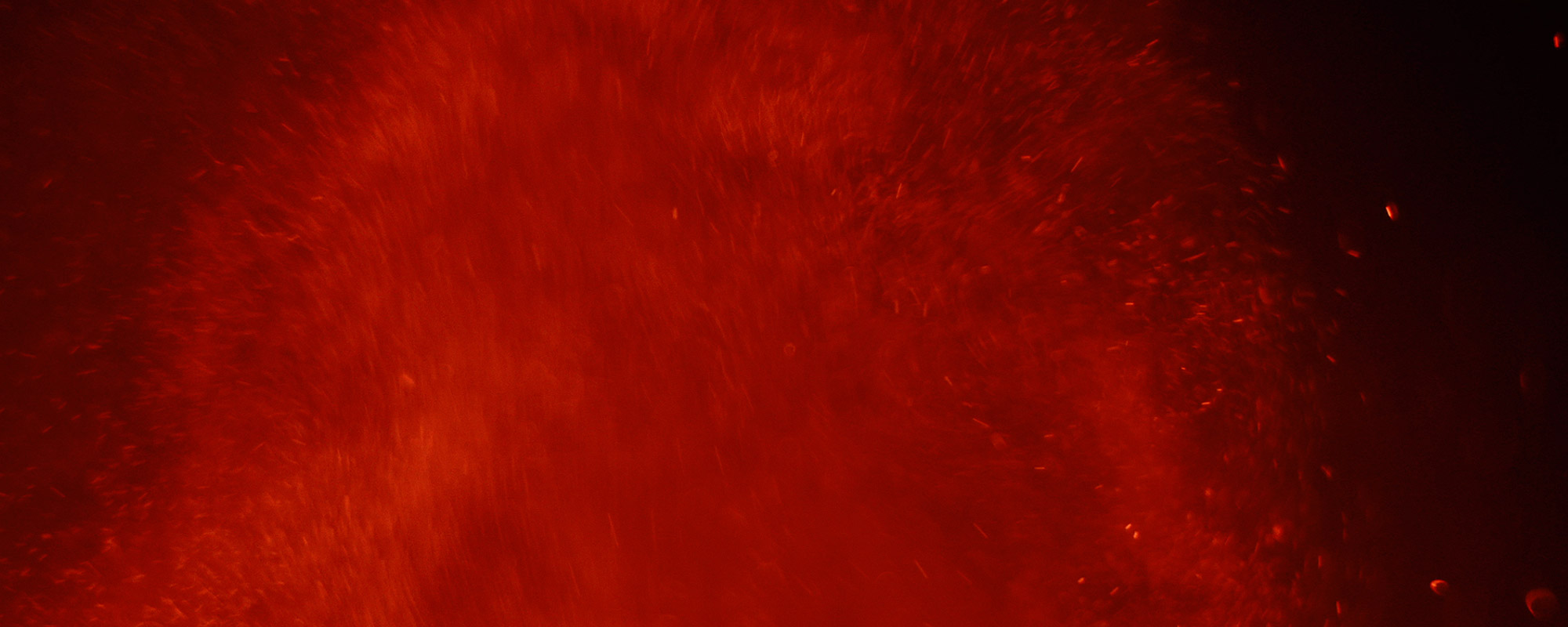 screengrab